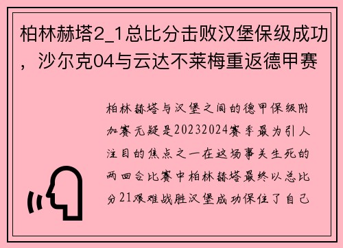 柏林赫塔2_1总比分击败汉堡保级成功，沙尔克04与云达不莱梅重返德甲赛场